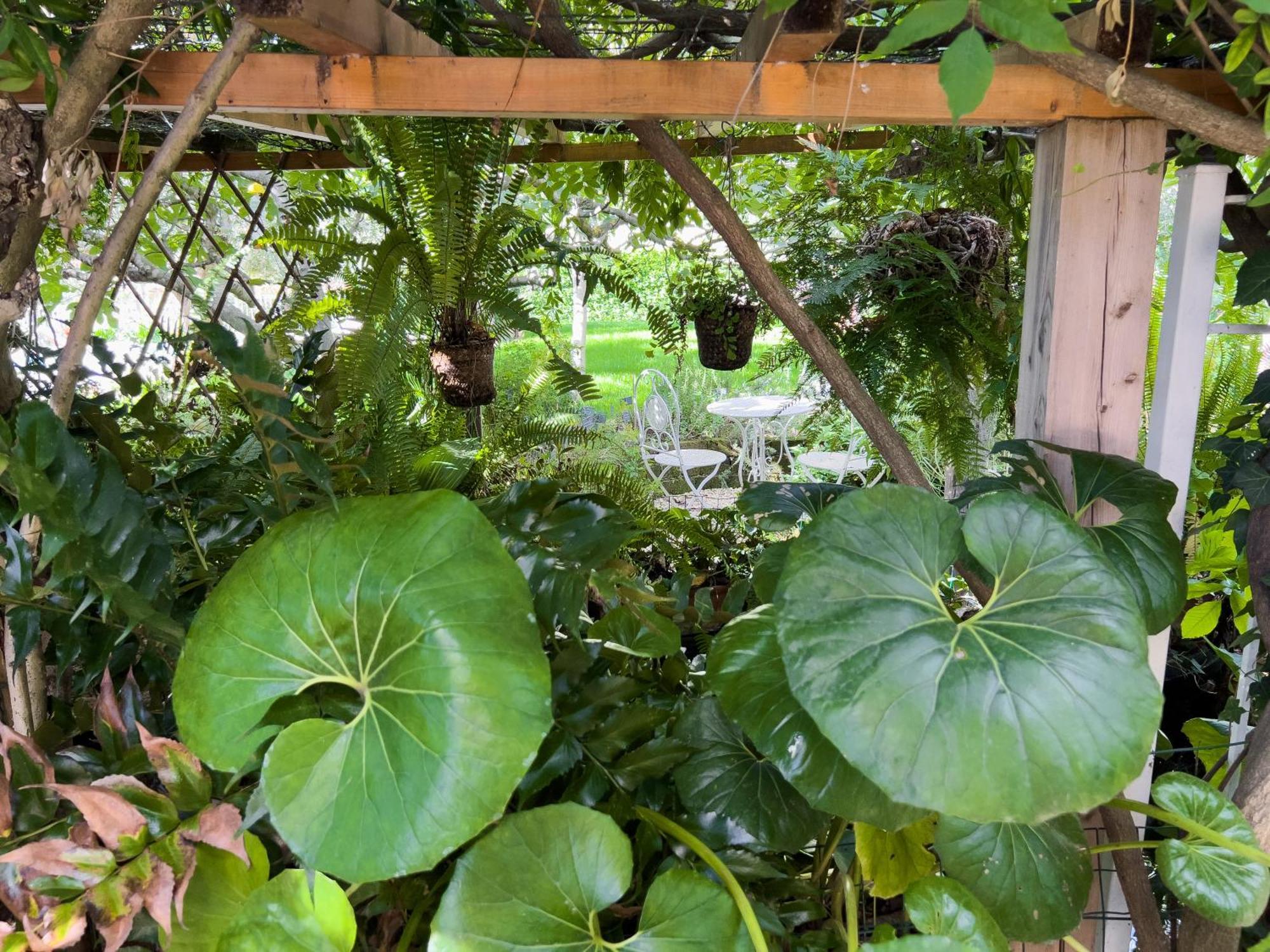 Villa La Rodina Diano Marina Eksteriør bilde